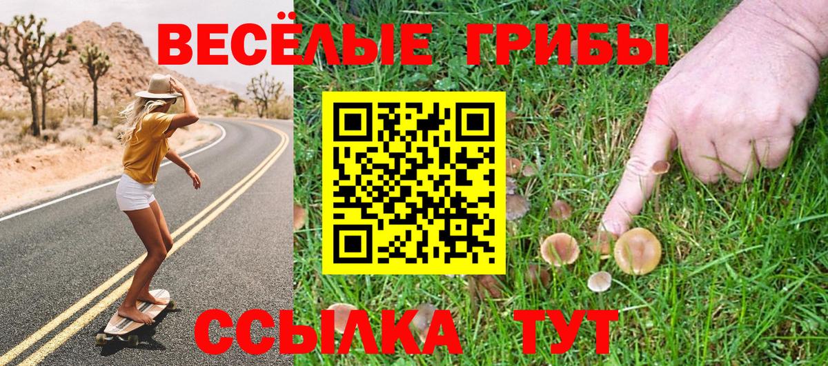 Галлюциногенные грибы прущие грибы Березники