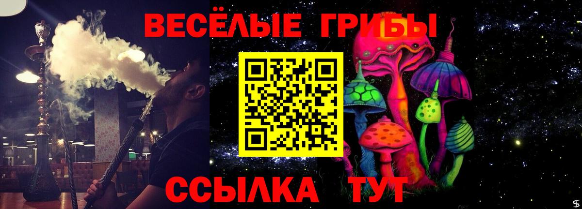 Псилоцибиновые грибы прущие грибы  Вход с VPN  Псилоцибиновые грибы Magic Shrooms  Березники 
